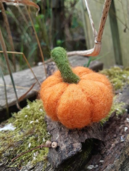Citrouille n.2 – Image 2