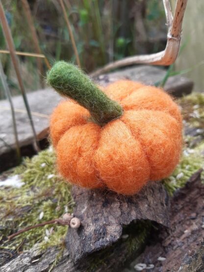 Citrouille n.2