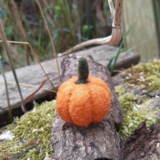 Mini citrouille n.1