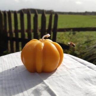 Bougie citrouille