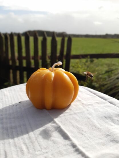Bougie citrouille