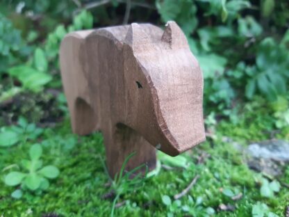 Sanglier – Image 2