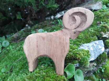Mouflon – Image 2