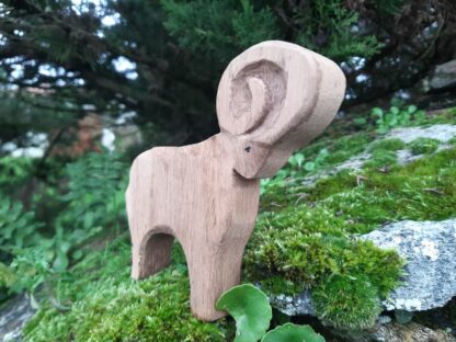 Mouflon