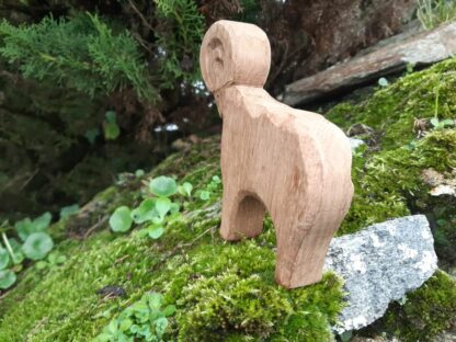 Mouflon – Image 3